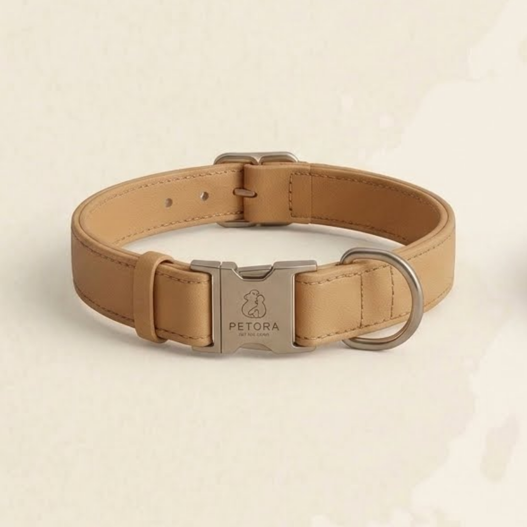 Puppy Soft Collar