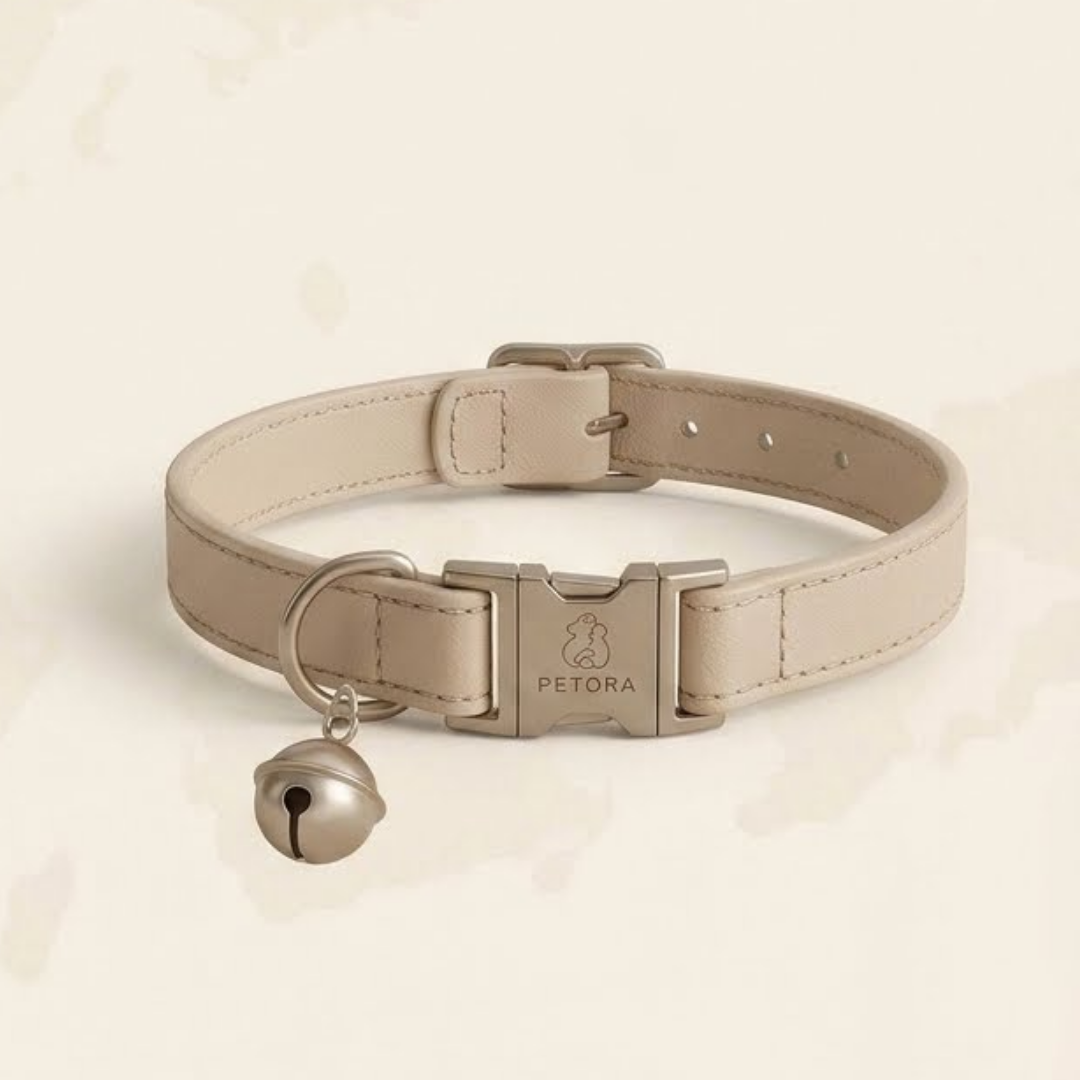 Cat Bell Collar